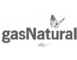 GasNatural